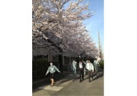 桜の下で・・・