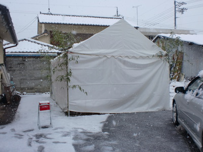 CIMG6137.JPG